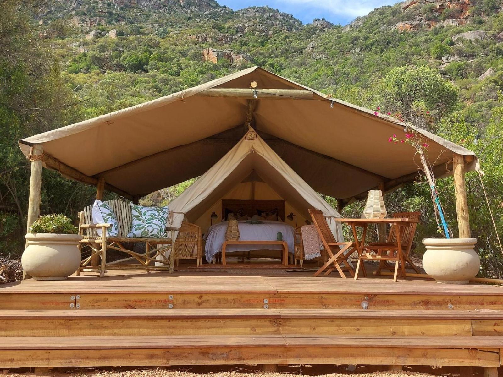 Leopard Valley Eco Retreat Citrusdal Quarto foto